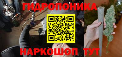 spice Кунгур