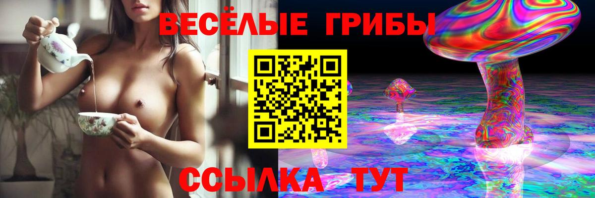 Всеволожск  Галлюциногенные грибы мухоморы  Вход с VPN 
